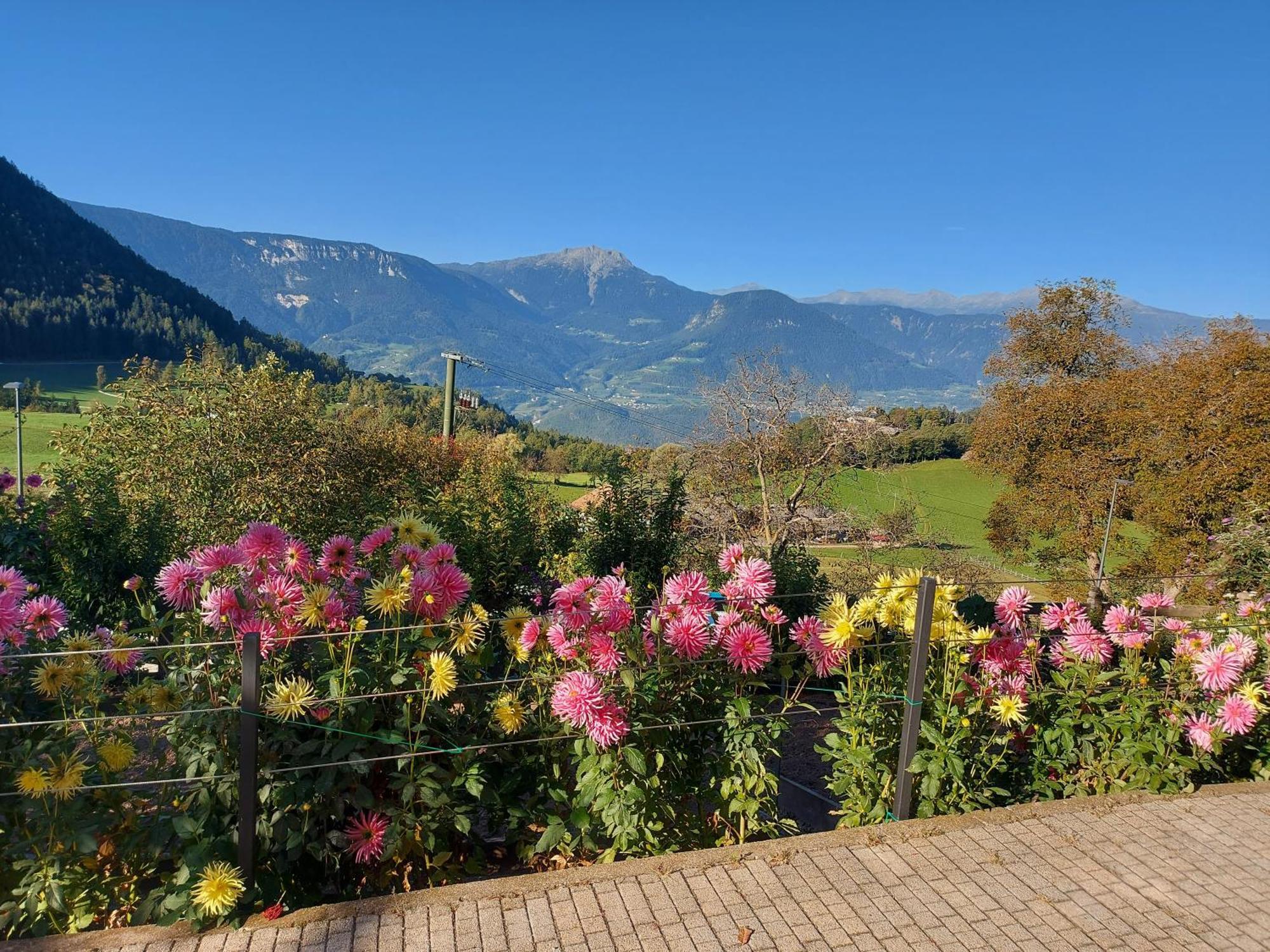 Апартаменти Alpenrose Мельтіна Екстер'єр фото